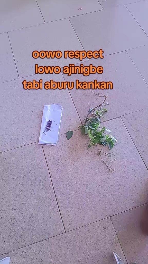 @oba ijinle ogbon agba