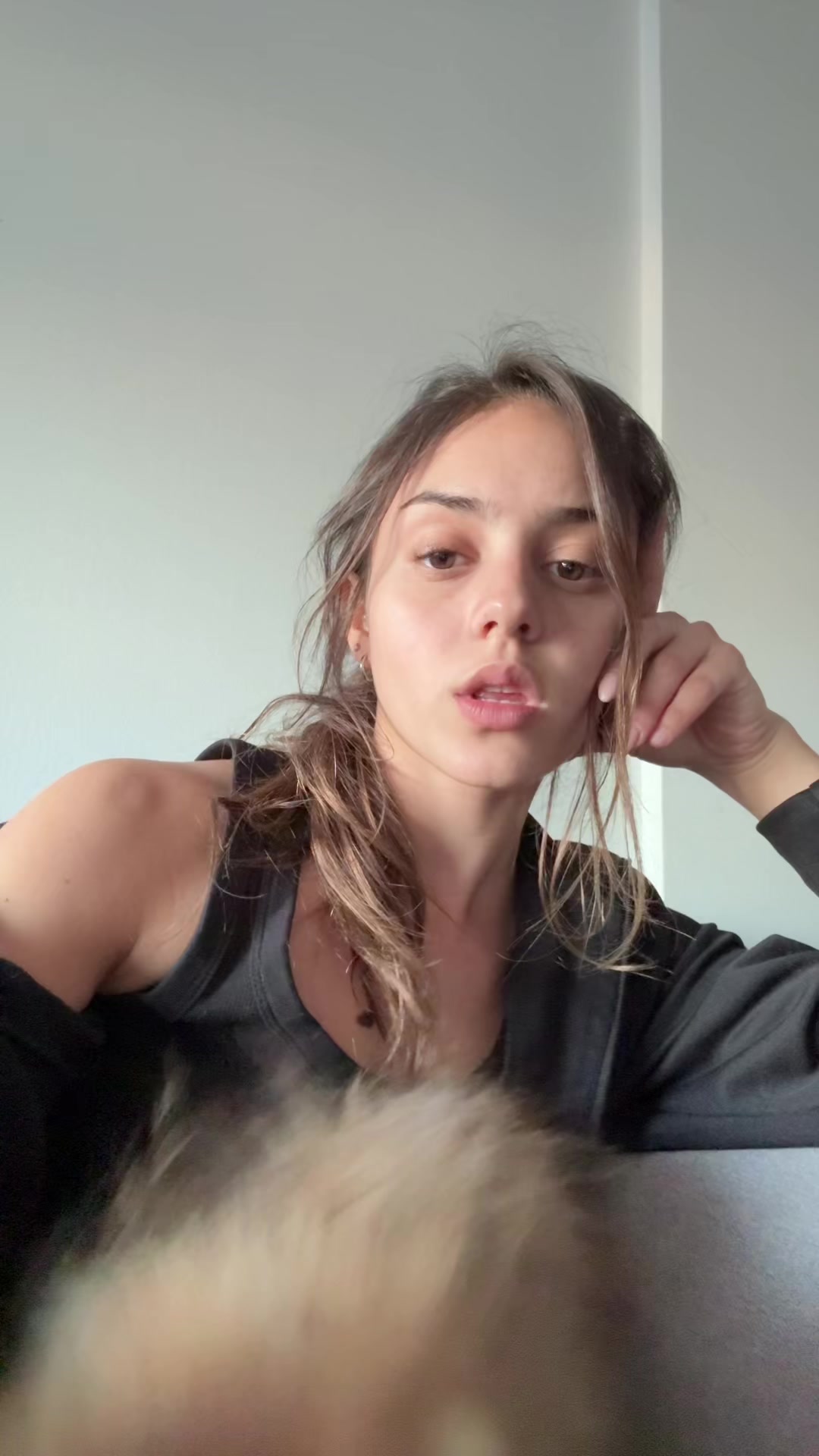 @antopodest