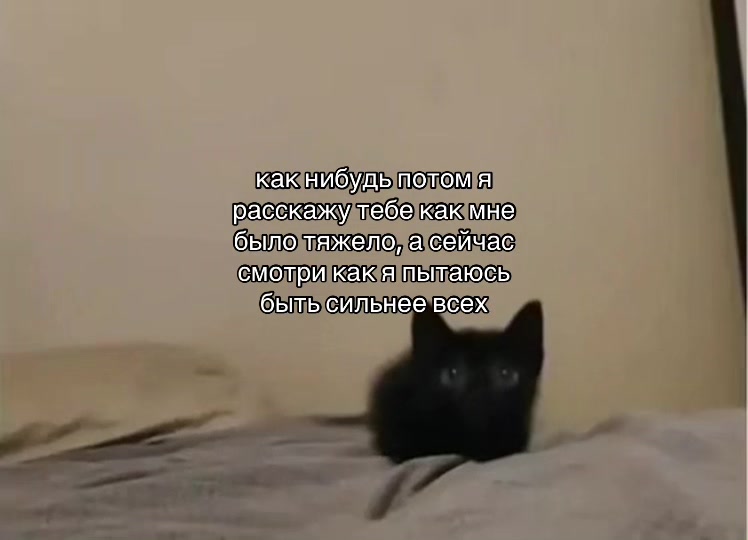 @hirndd@