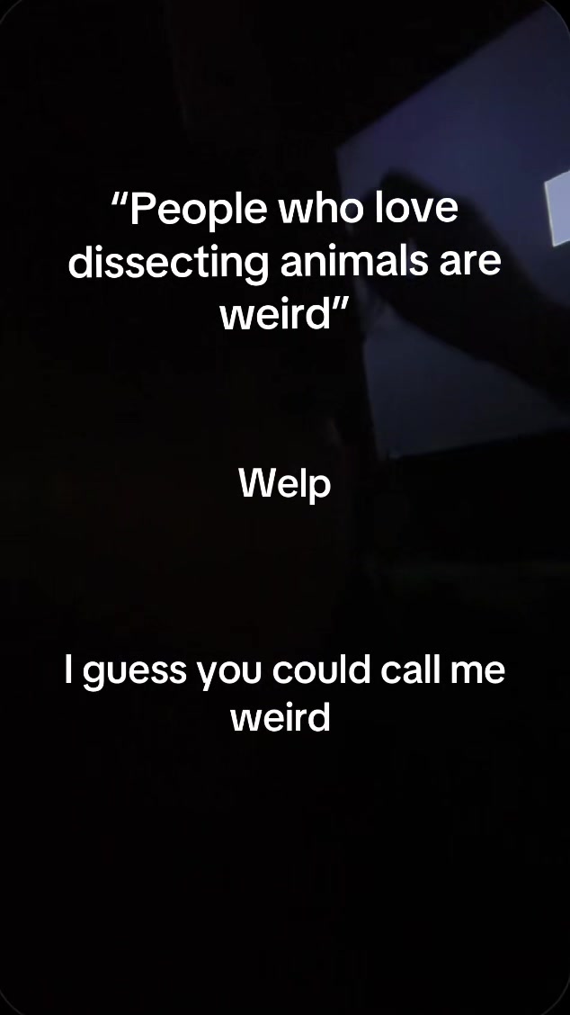 @𝖘𝖜𝖊𝖆𝖙𝖞𝖇𝖆𝖑𝖑𖤐
