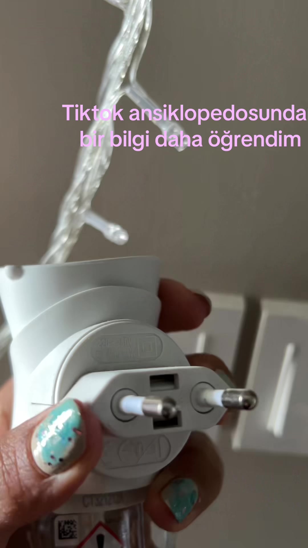 @asmreldaa