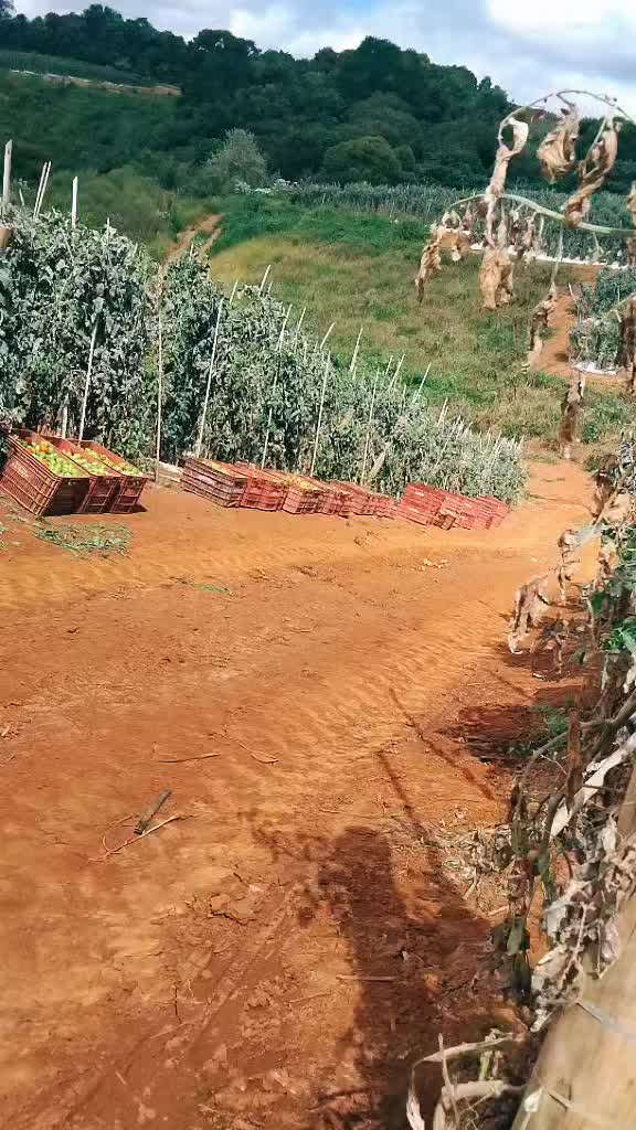 @André paula