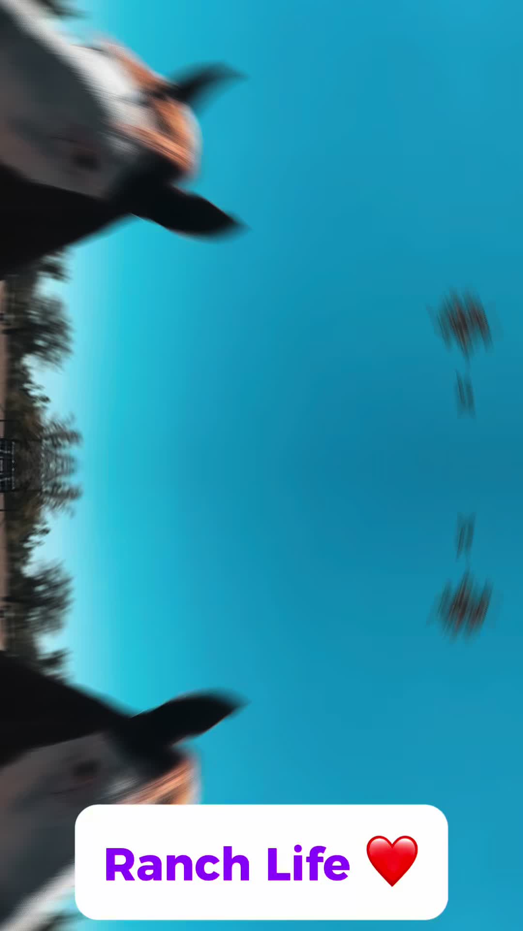 @WildernessRanch
