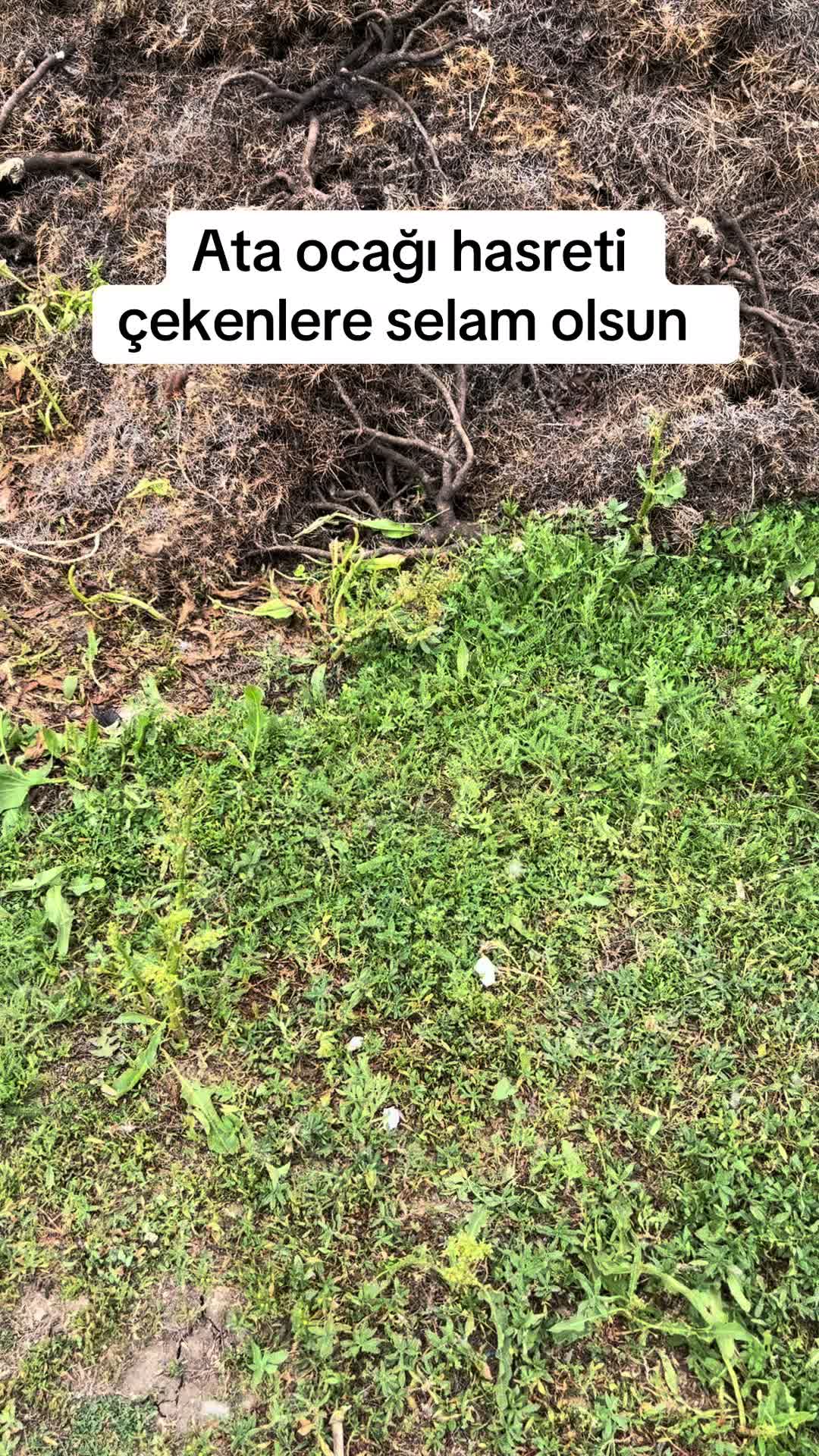 @Şarküteri
