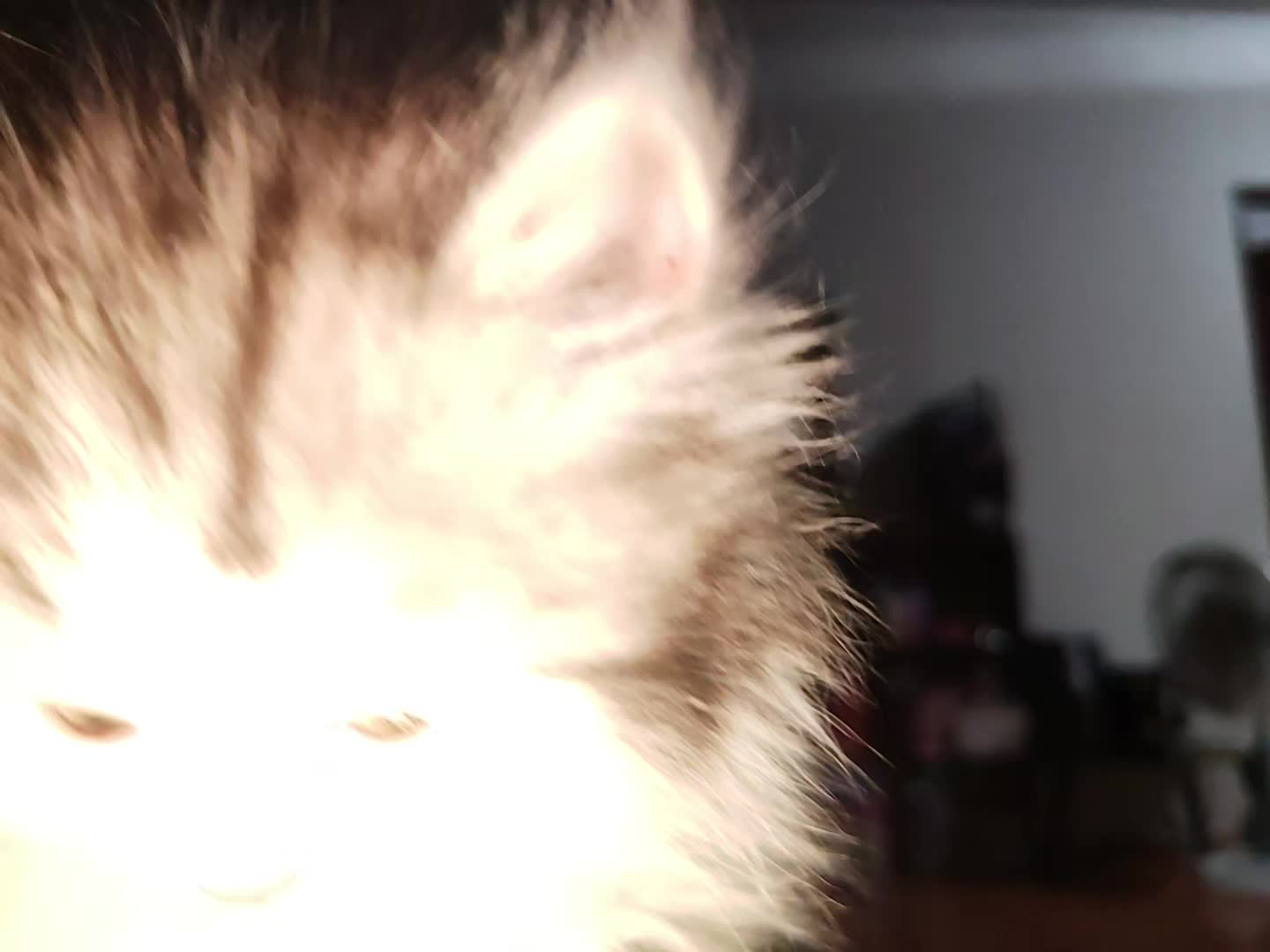 @😔𝐨𝐦𝐧𝐢 𝐦𝐚𝐫𝐤😾