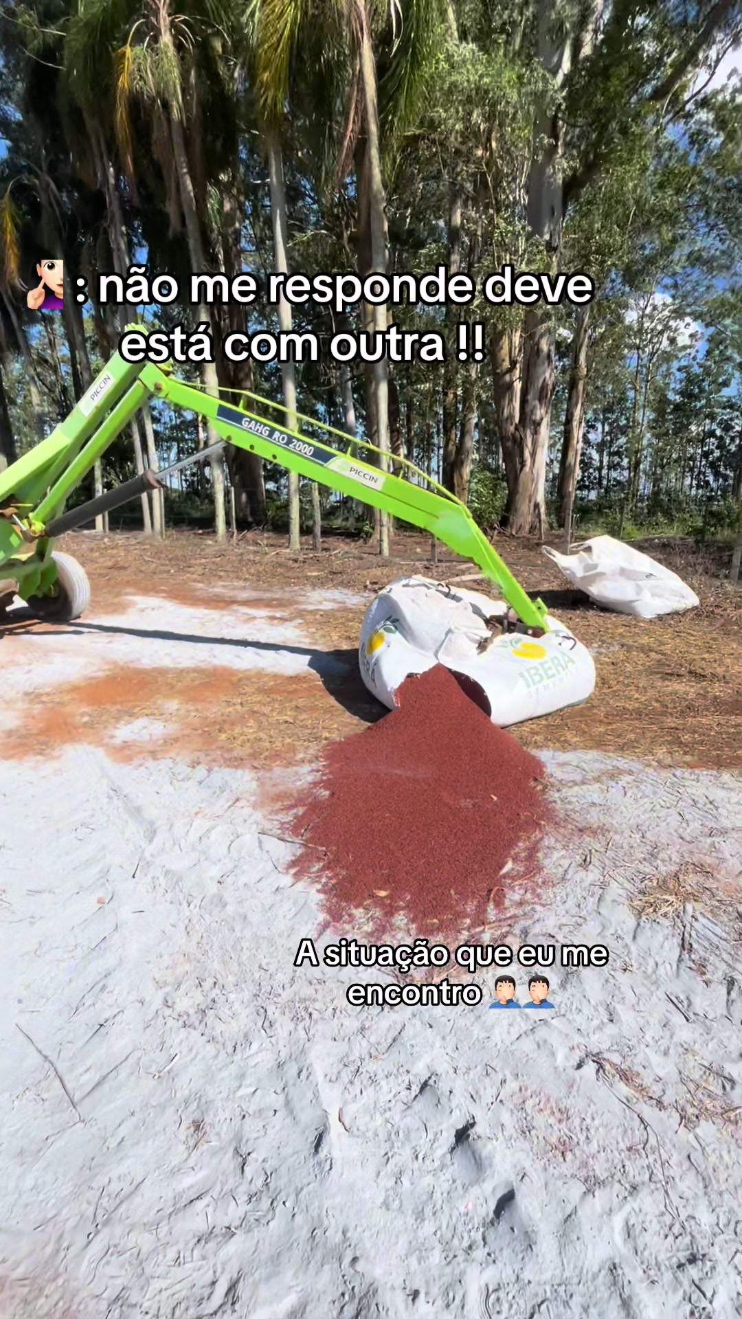 @joao francisco