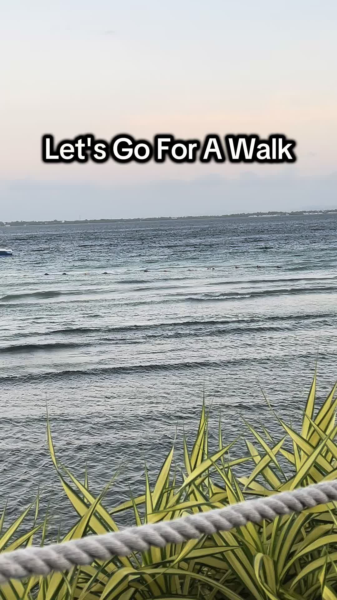 @thedreamcatcherslibrary
