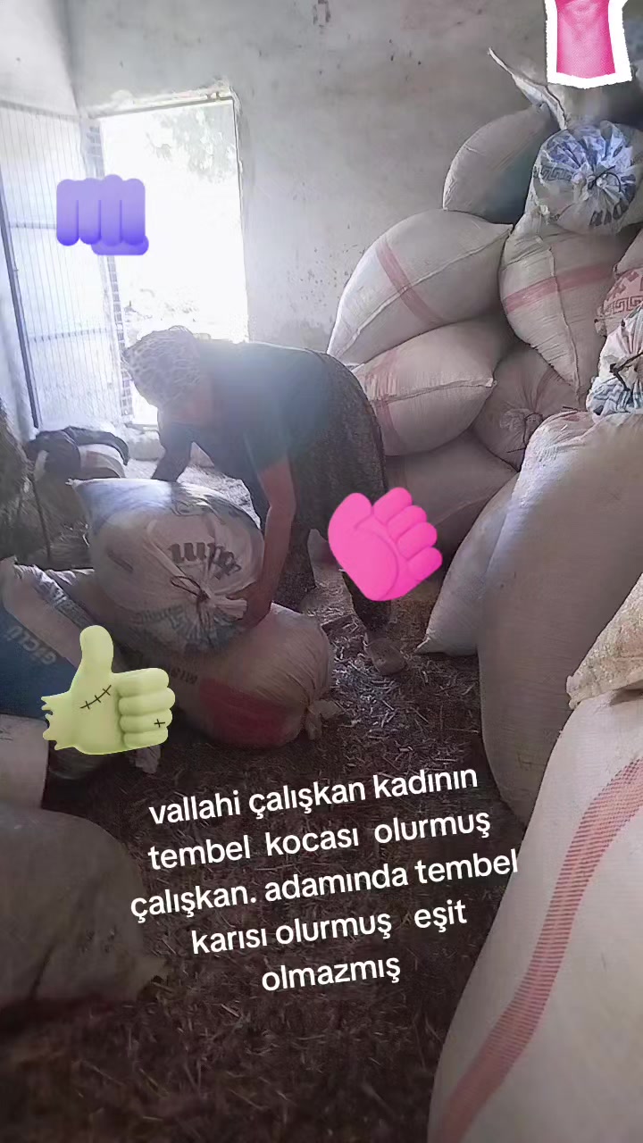 @Sultan Bulat