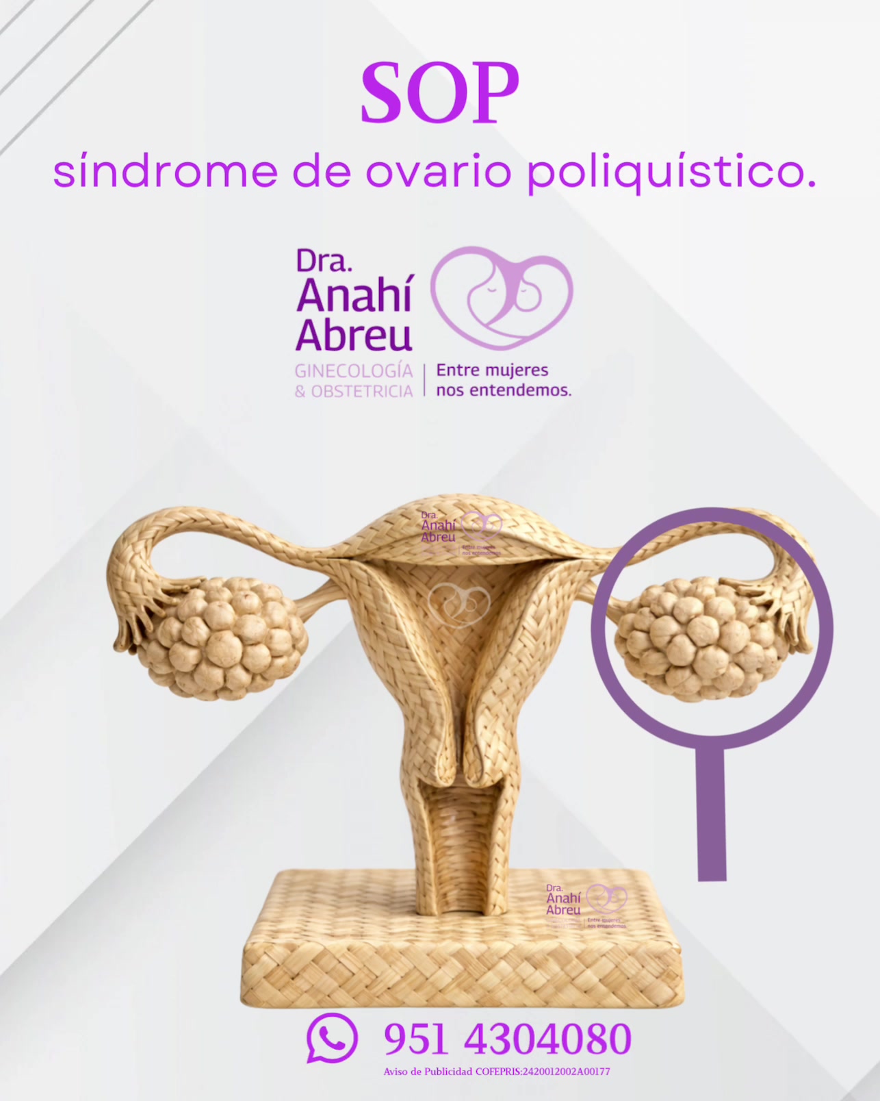 @Dra Anah&iacute; Abreu Ginec&oacute;loga