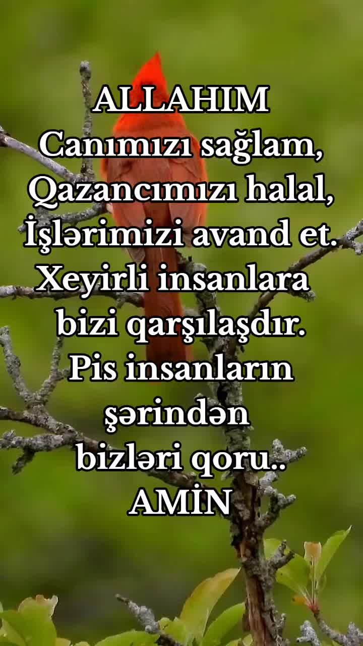 @DİNİM İSLAM