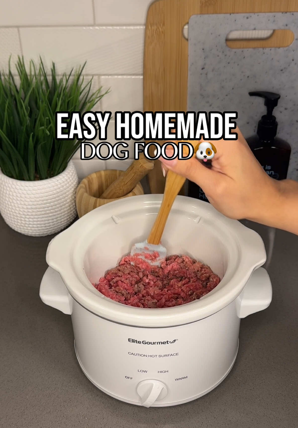 @Daily Dog Bites