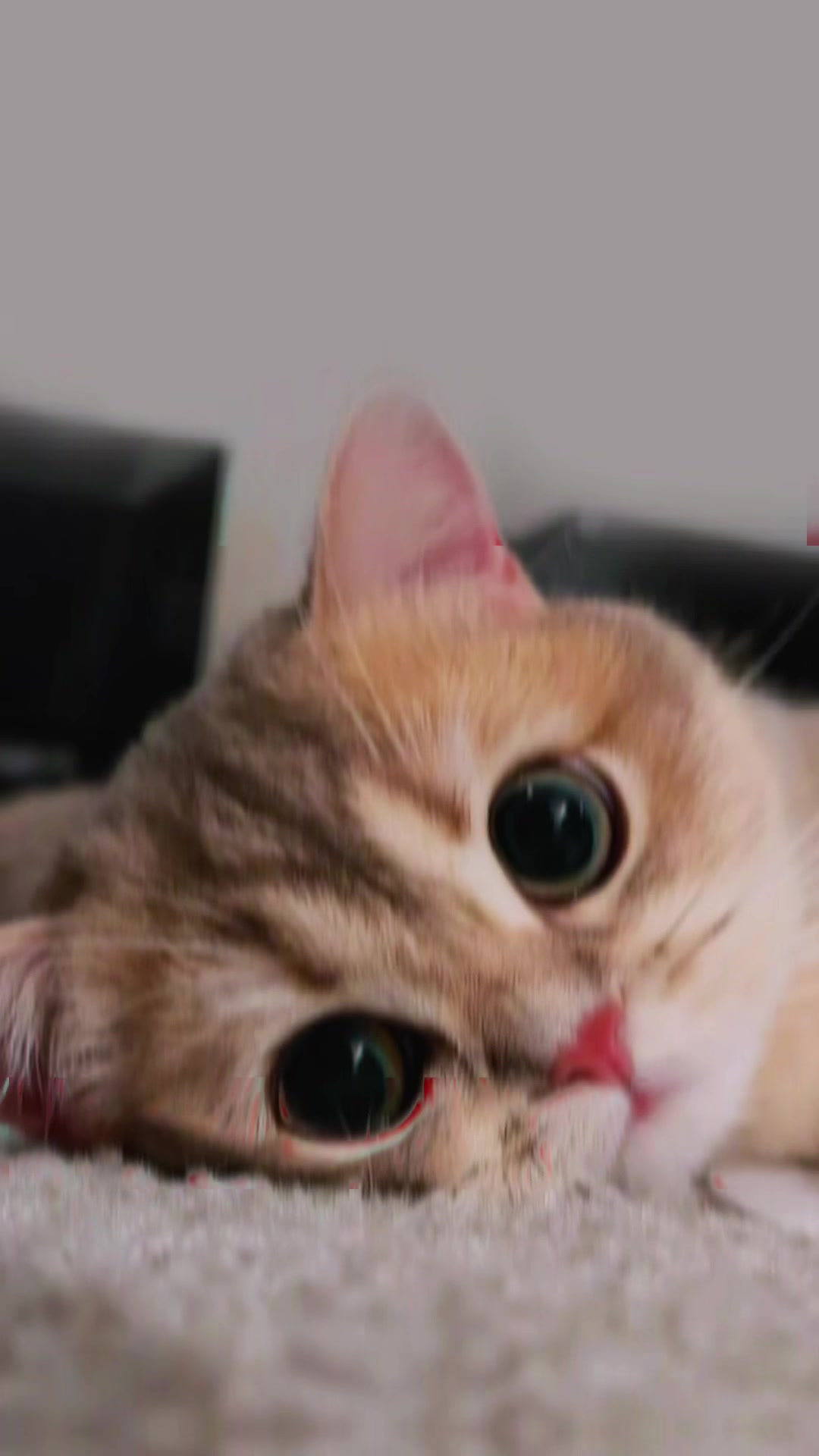 @𝕽𝕭_𝕿𝖊𝖒𝖕𝖑𝖆𝖙𝖊