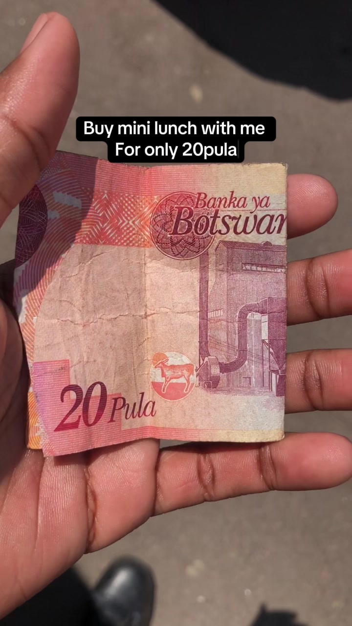 @Losika Moth🦅🇬🇧🇧🇼