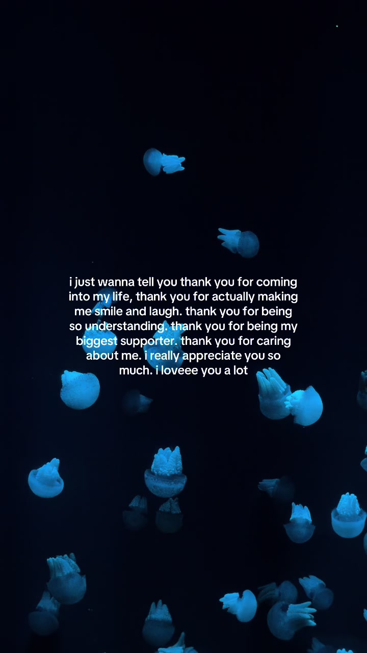 @something i couldn&rsquo;t say
