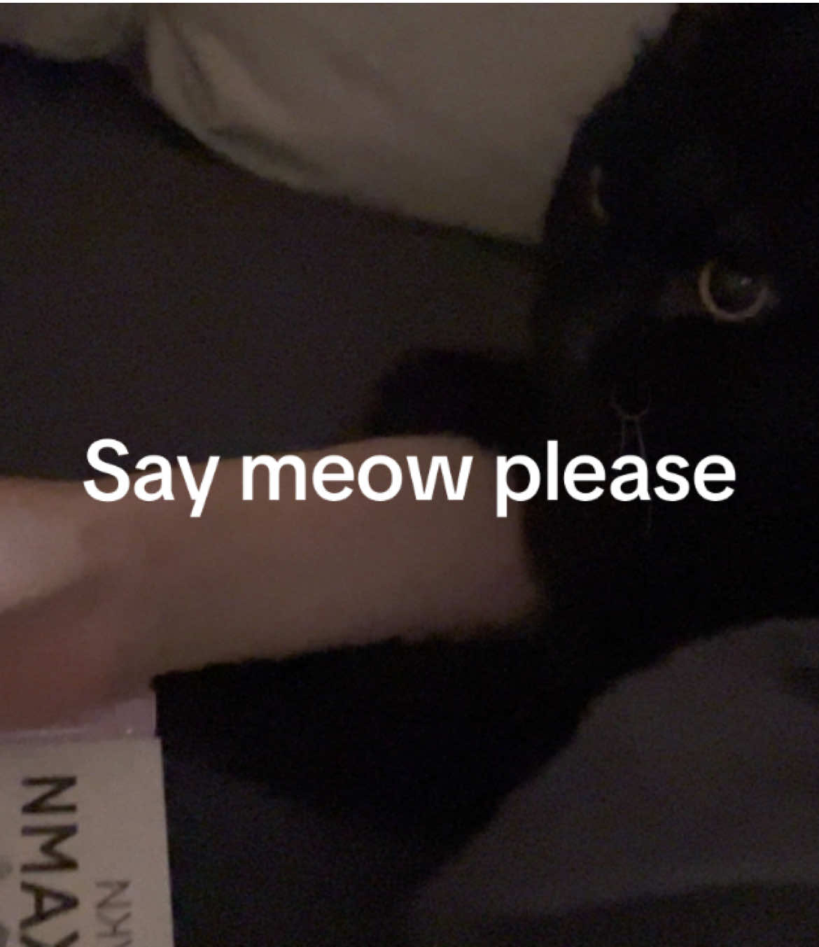 @mellifluous_meowing