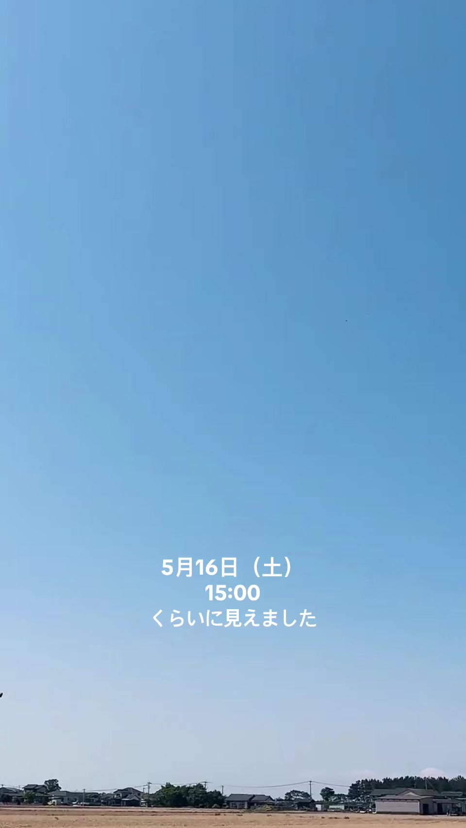 @まこやん✅(公式)