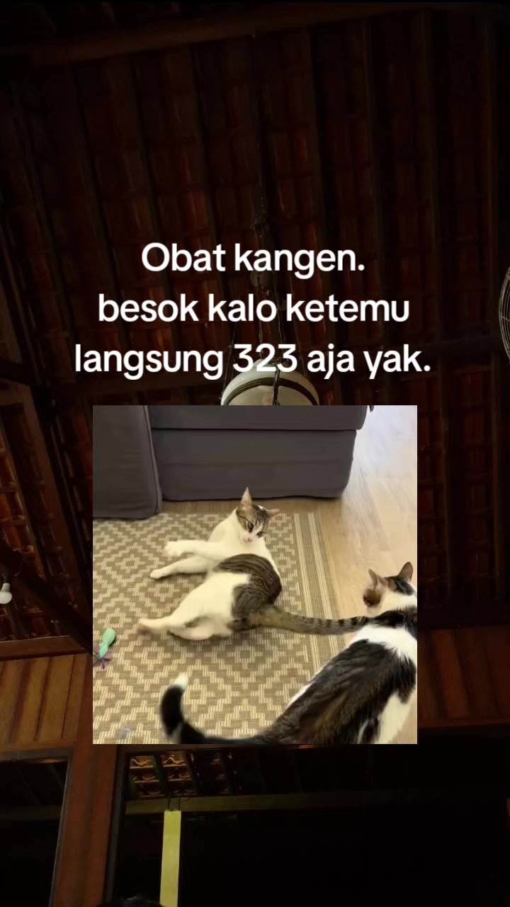 @𝙈𝙖𝙨 𝘾𝙝𝙤𝙤𝙞
