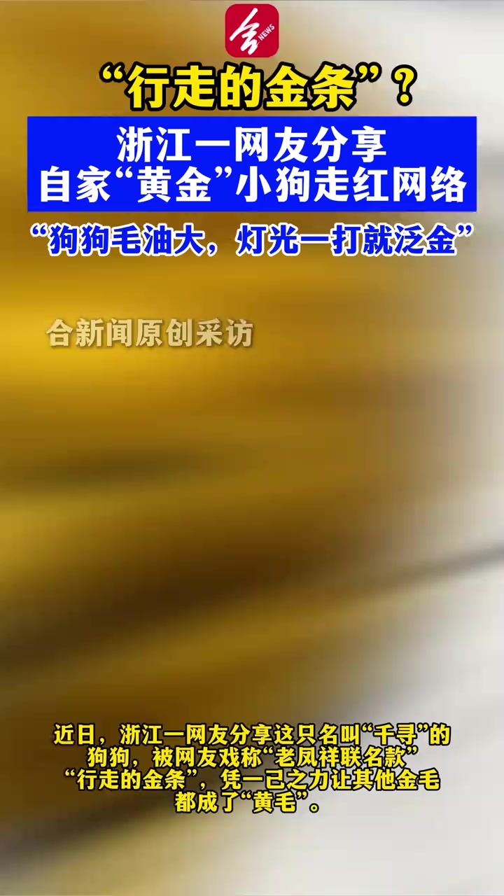 @林京一