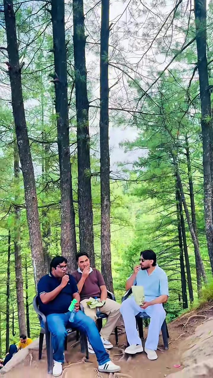 @arbabshaheen