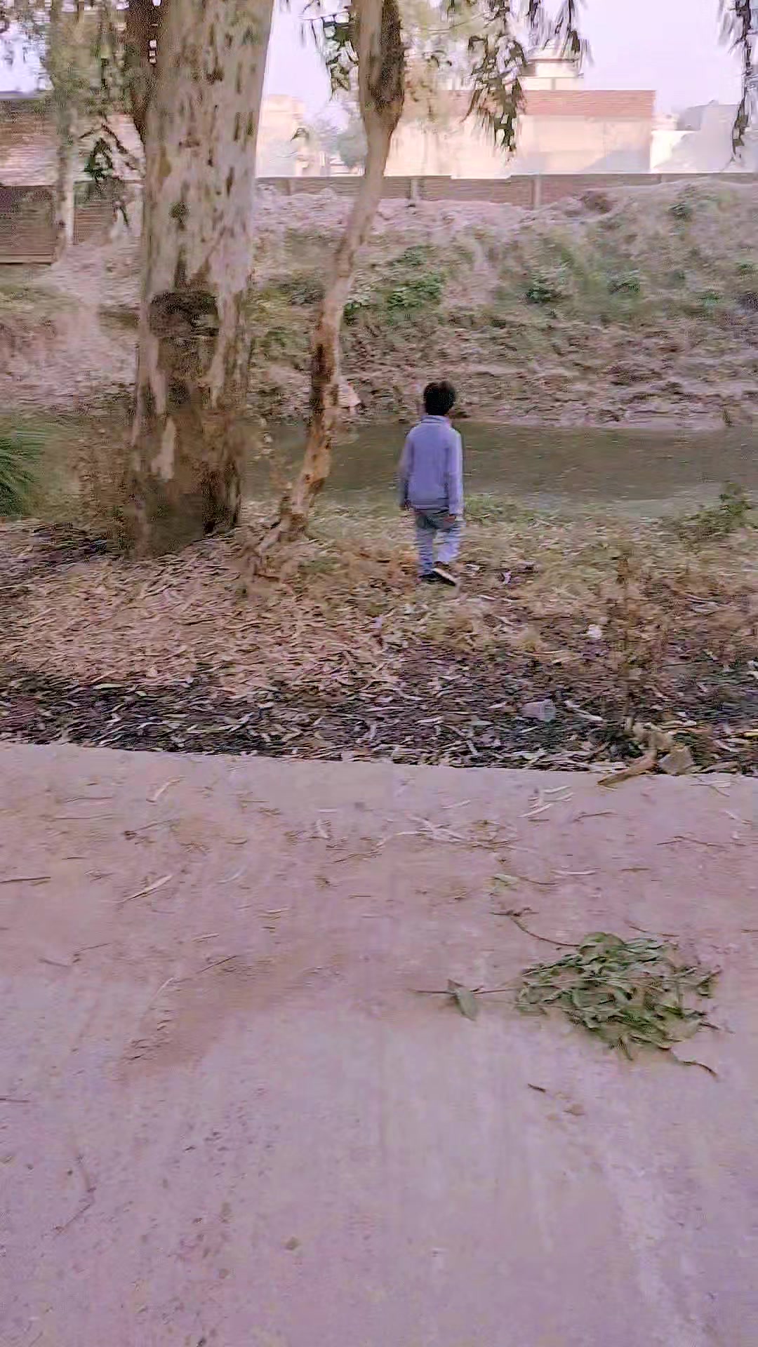 @Qaisar 🌸