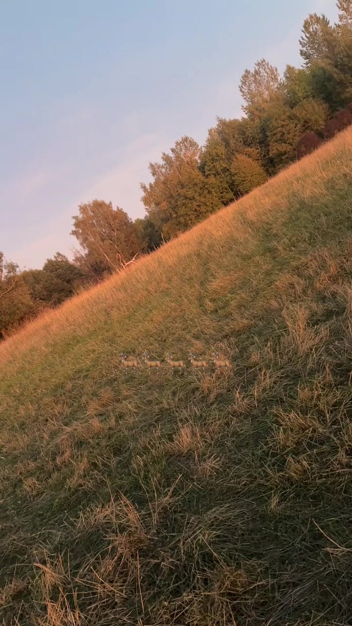 @bryan2302982