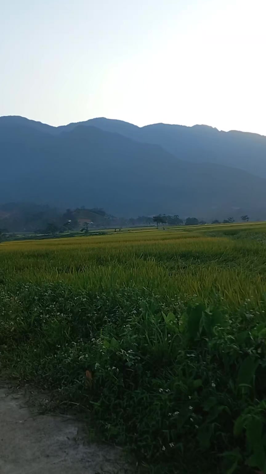 @Đ&ocirc;ng y VŨ VĂN D&Acirc;N