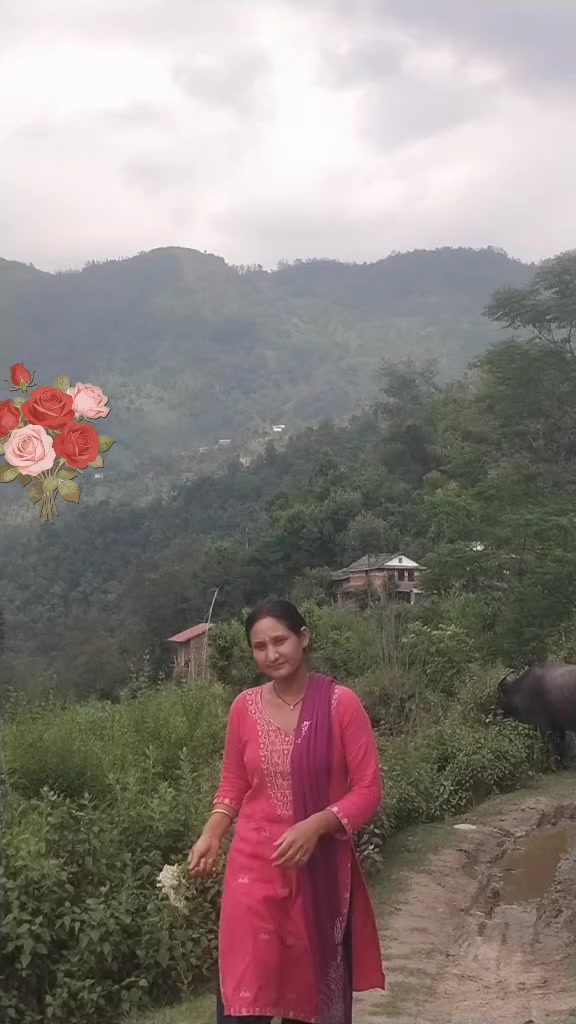 @ujelisunar84
