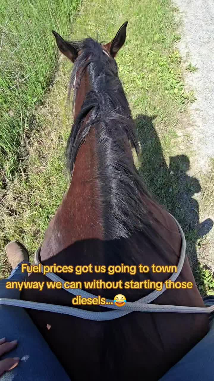 @Small Town Farm LLC