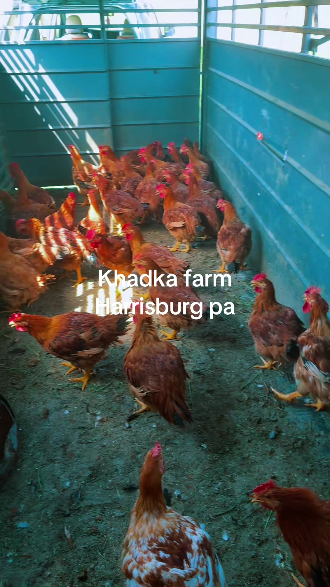 @Ratna khadka
