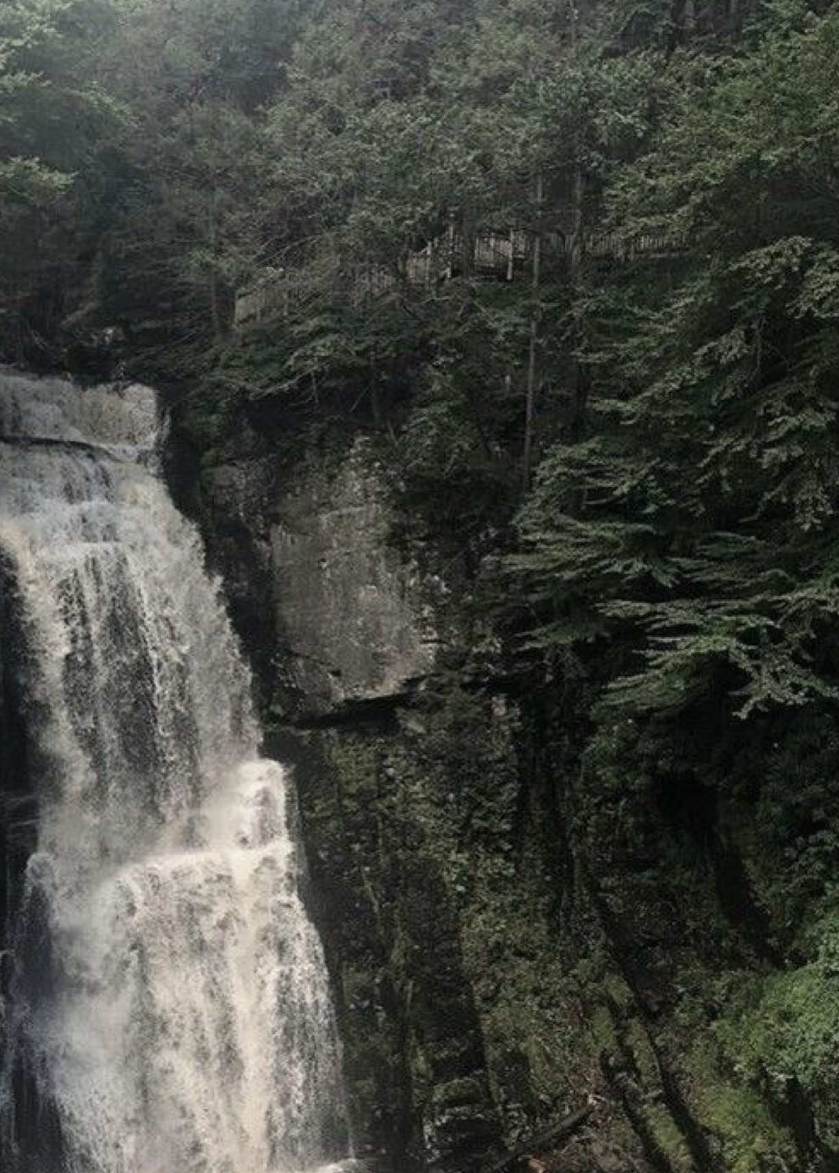 @۶ৎ 🦢🤍 𝐁𝐞𝐨𝐦𝐬𝐞𝐨𝐤 🩶🦢