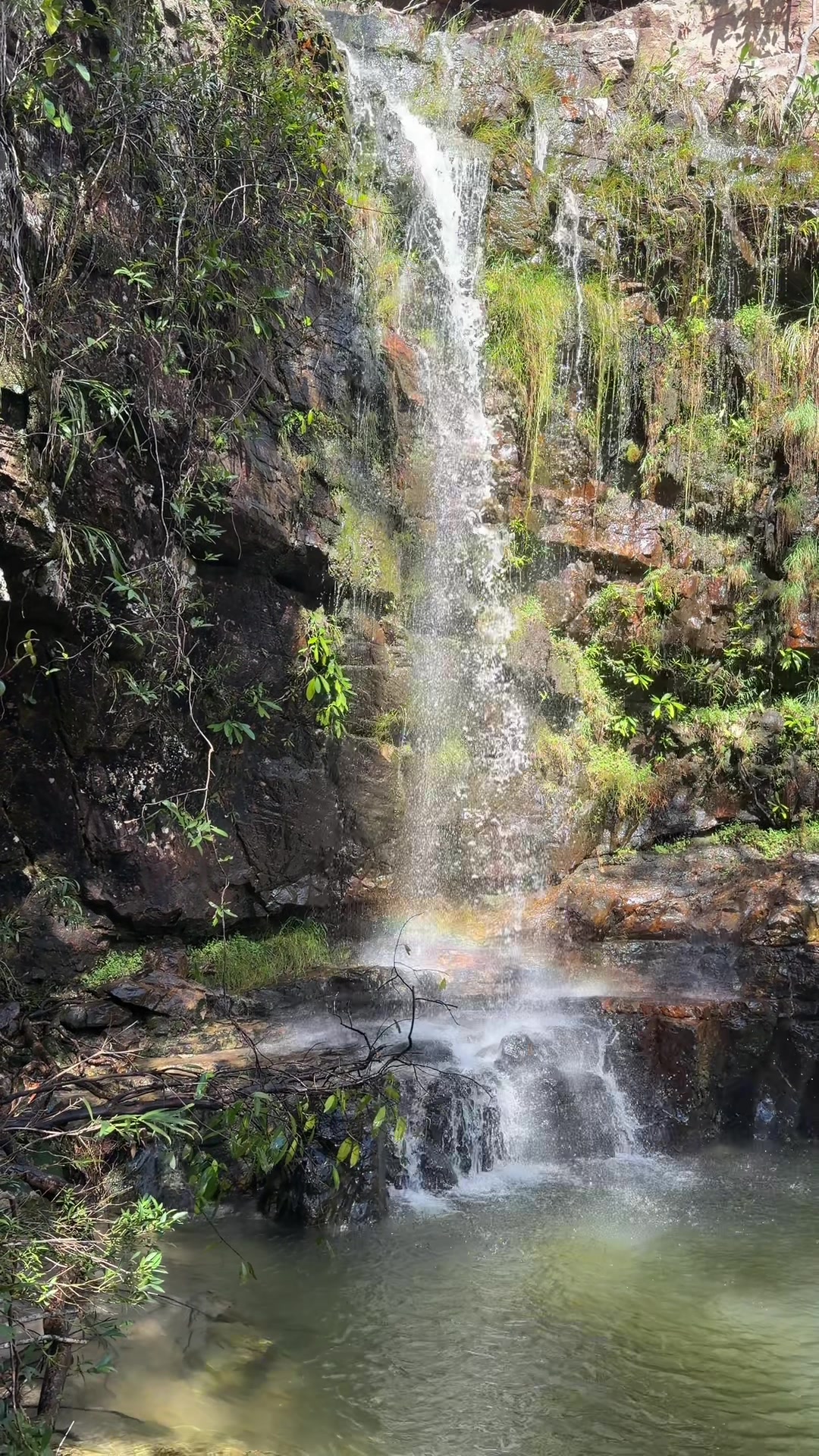 @Waihiri Yanomami
