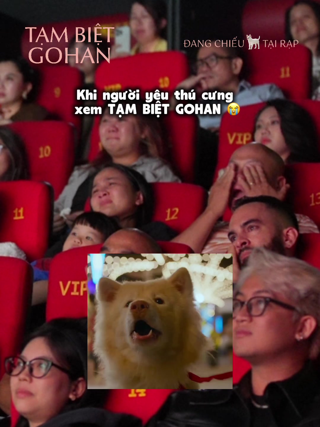 @CJ ENM Vietnam