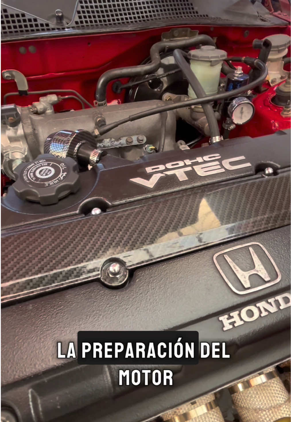 @Maxel Lubricantes