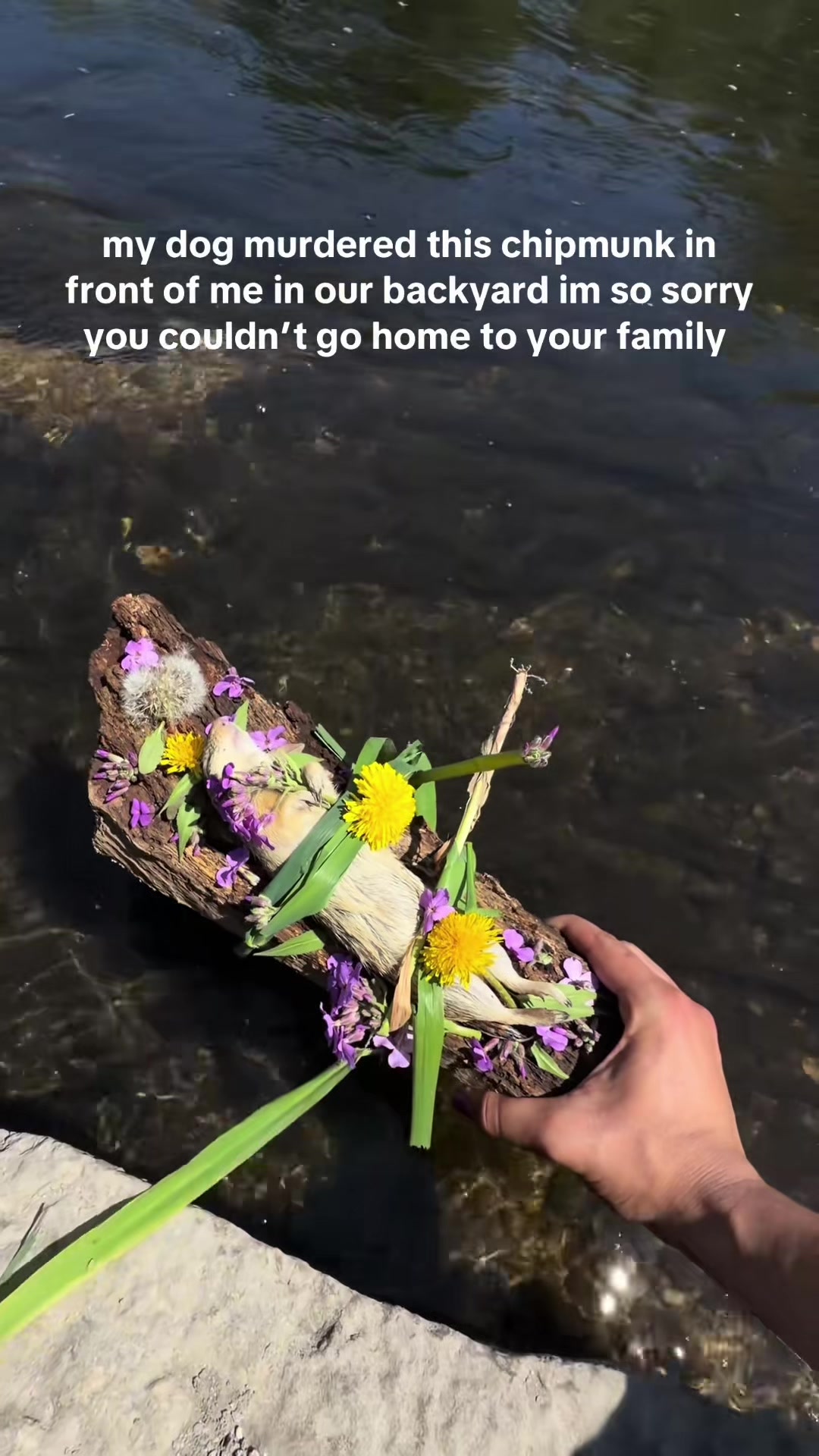 @Matt Lipari