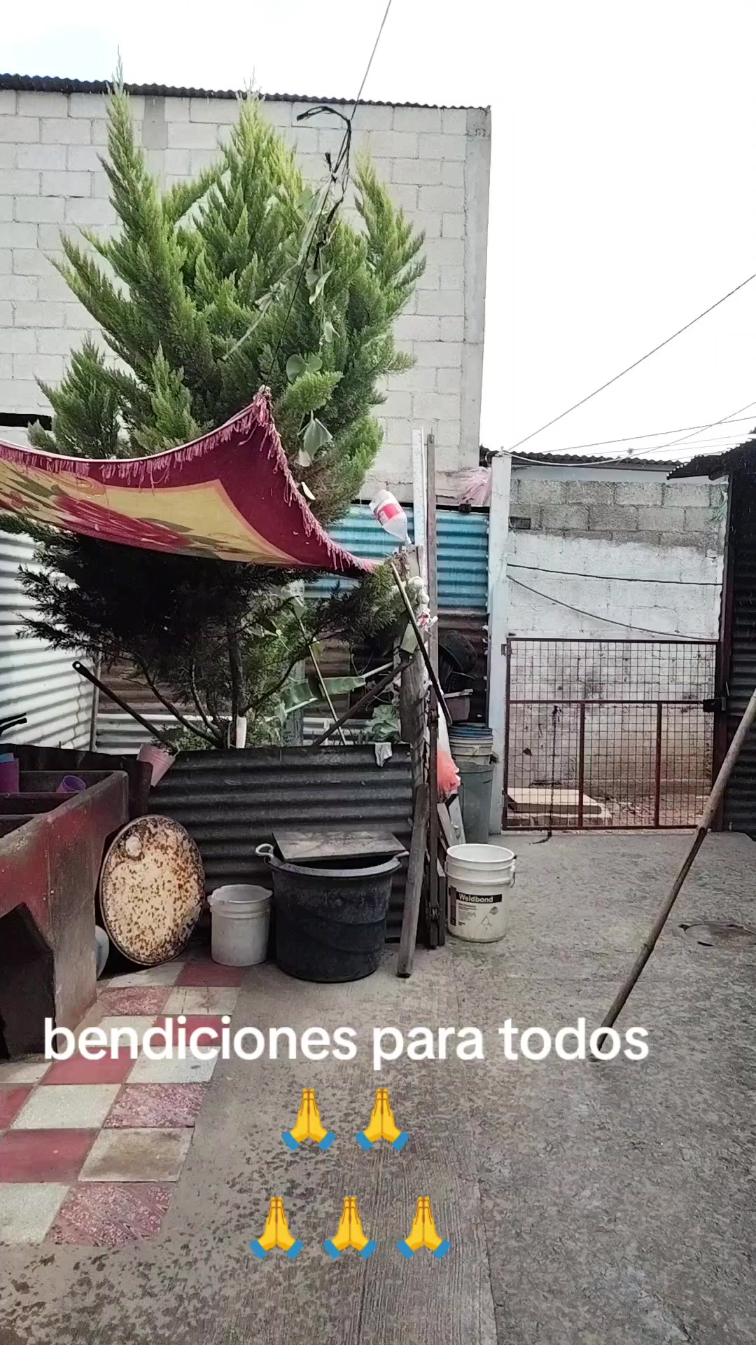 @Rebeca Chen