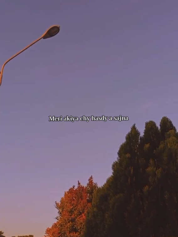 @。⋆༶⋆˙𝖁𝖎𝖇𝖊 𝖙𝖆𝖗𝖆❀.⋆。⋆༶⋆˙