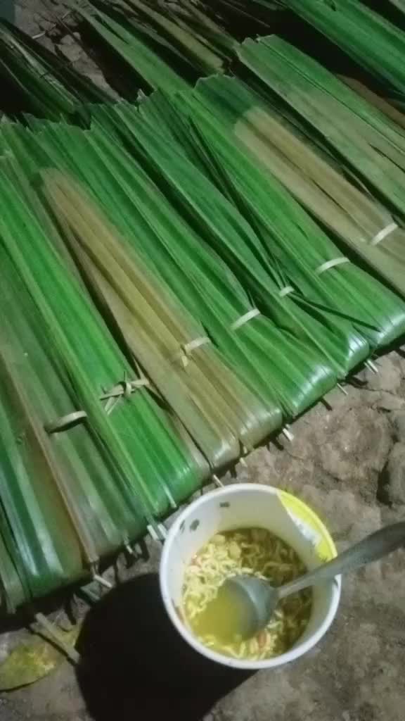 @🌺menggapai matahari🌺