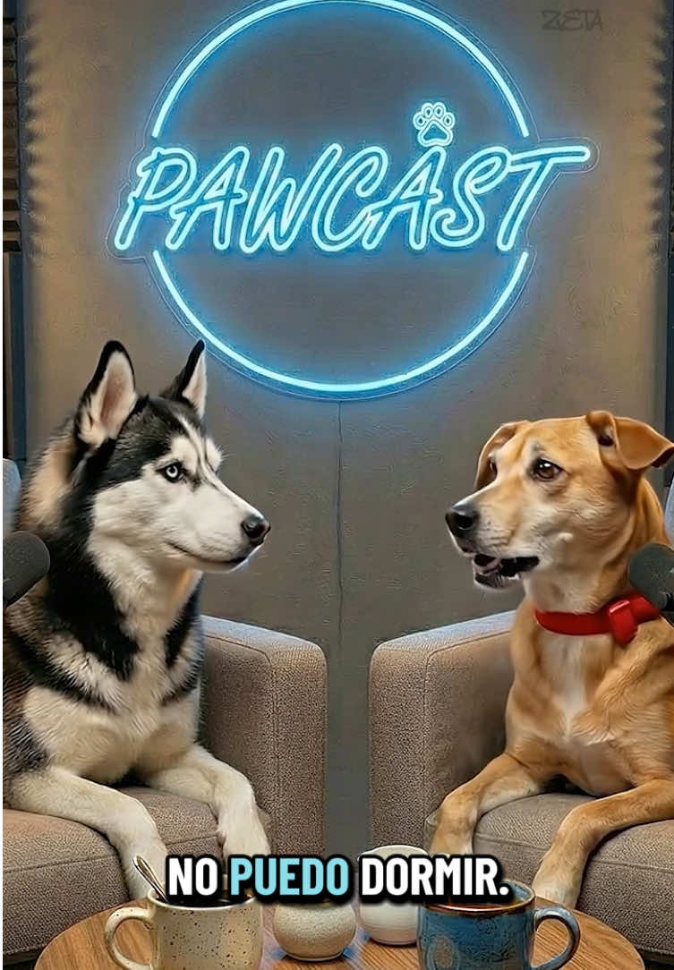 @ᴘᴀᴡ ᴄᴀꜱᴛ 🐾🎙️