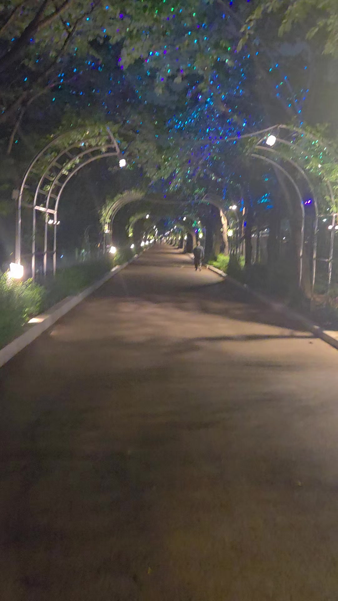 @𖤐ﾟ₊✯͡𝓑𝓤𝓛𝓐˚。˳✧༚。