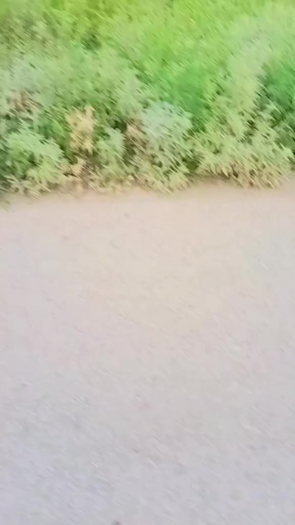 @# قیدی نمبر804#