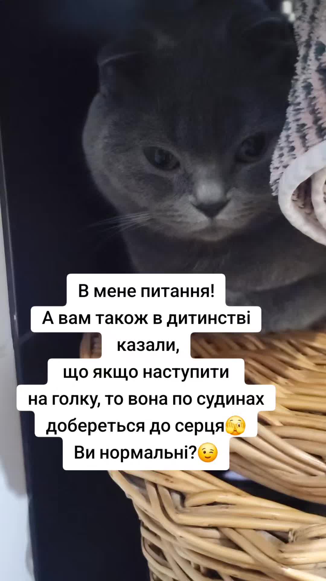 @Zorka