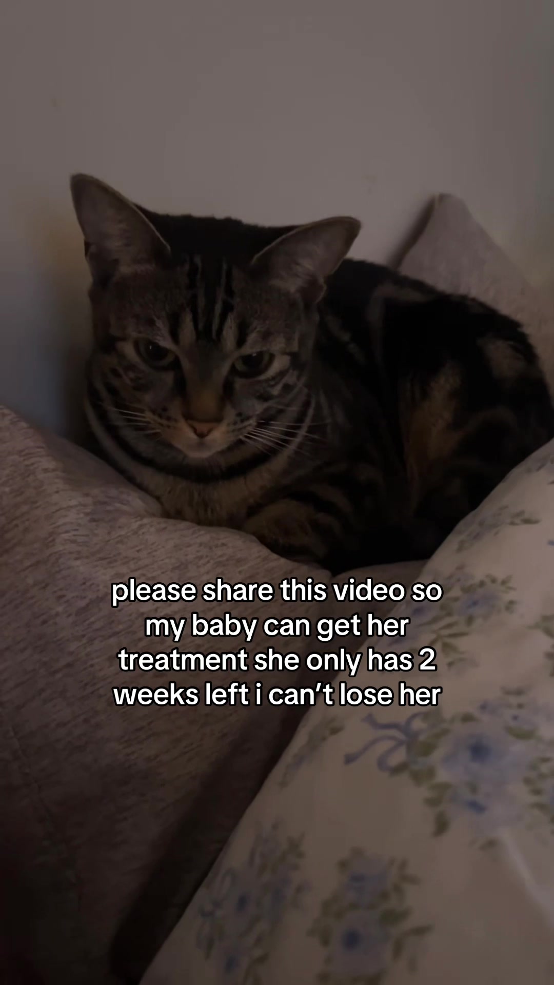 @Olivia