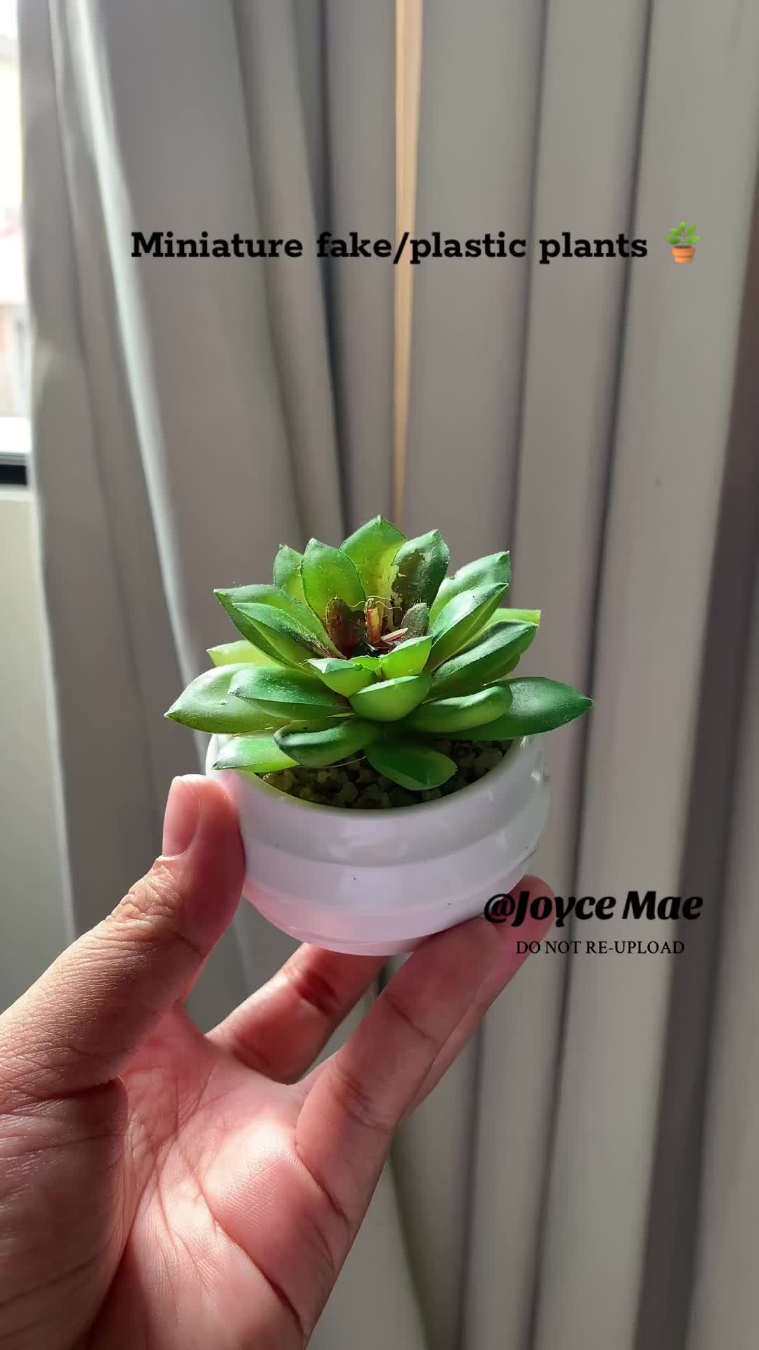 @Joyceᥫ᭡