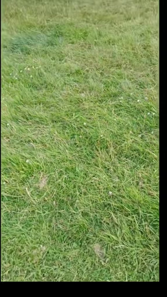 @yorkshirelassuk