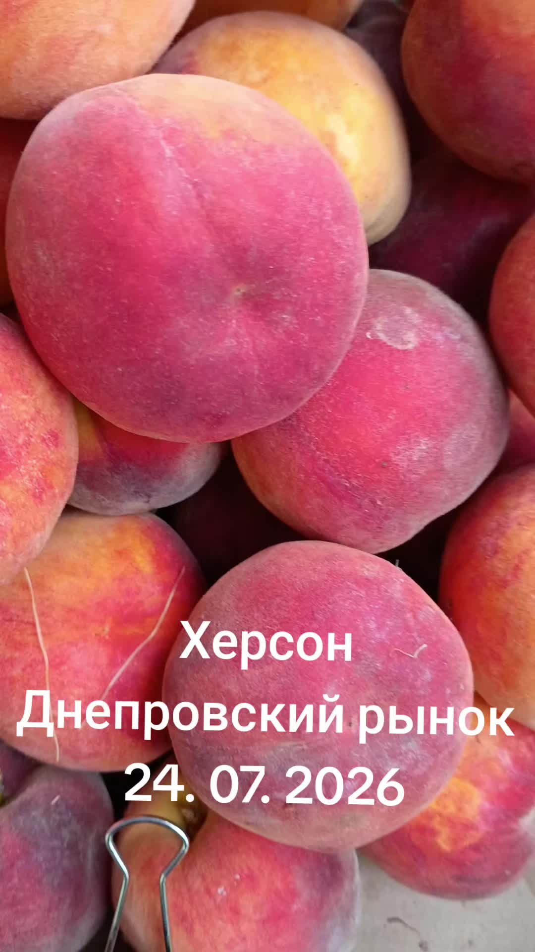 @IOSIF99999