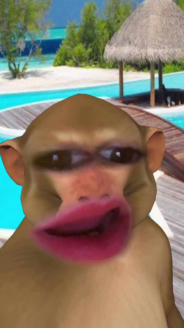 @Stevechadini36