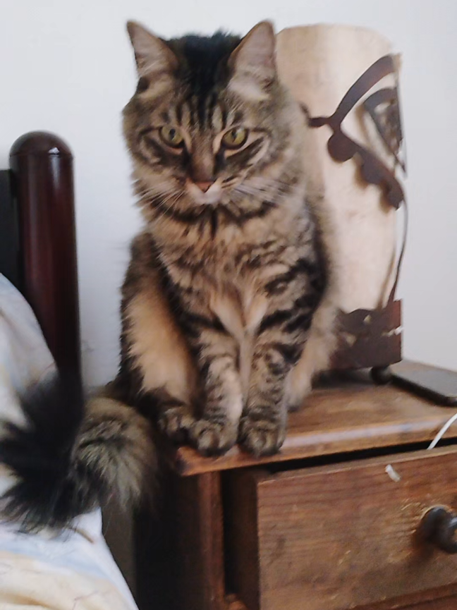 @😻 Estela 😻