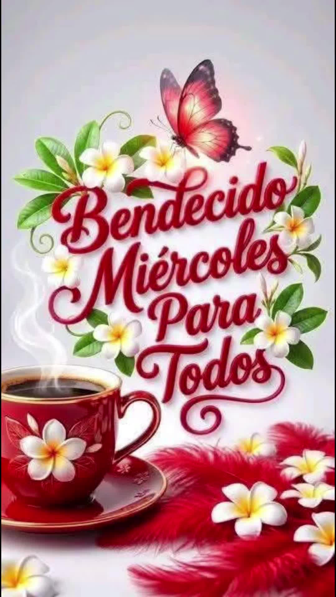 @elvirasvg
