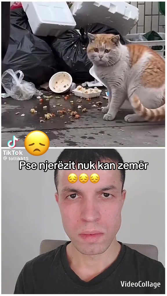 @suzanaj3