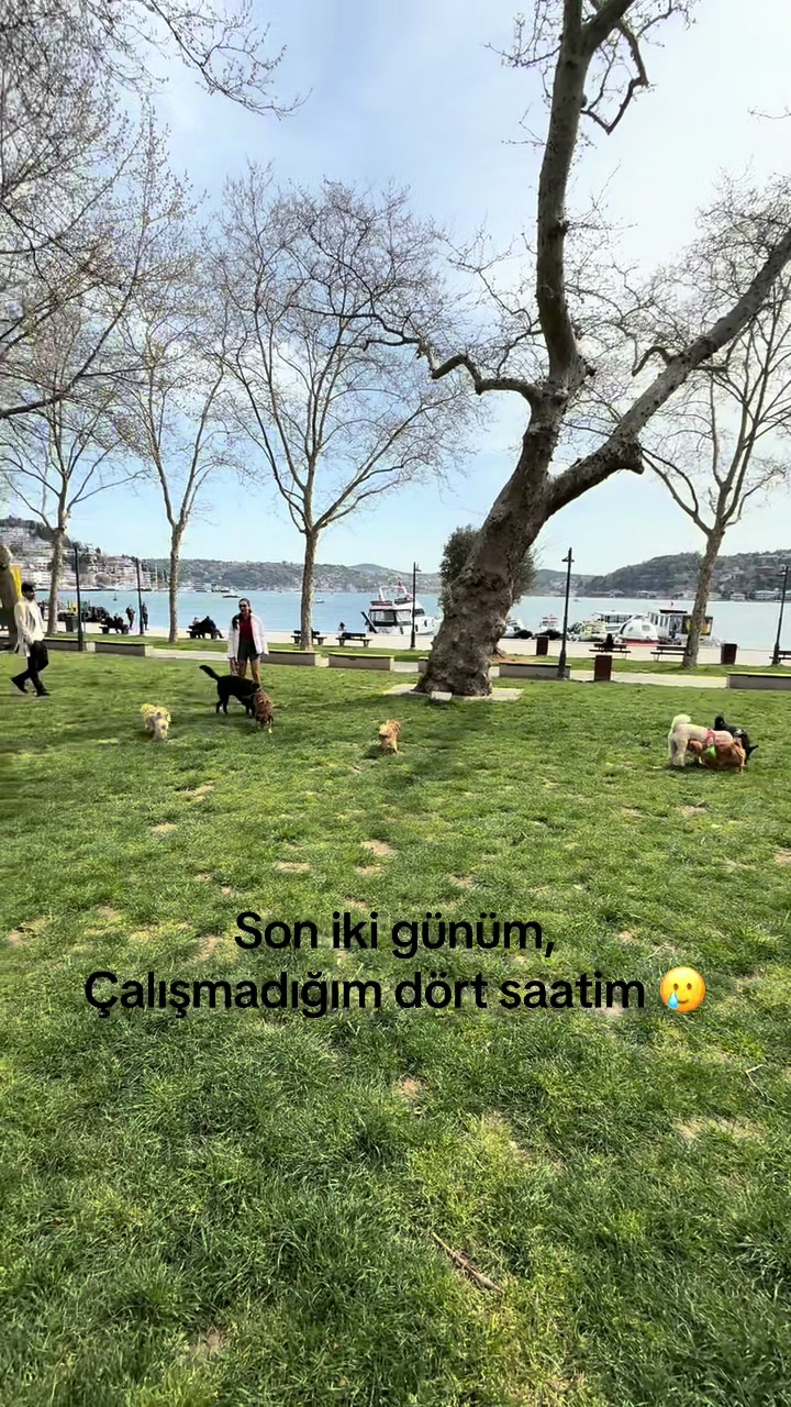 @gizoli88